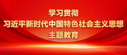 大屌日屄美女免费观看黄色视频学习贯彻习近平新时代中国特色社会主义思想主题教育_fororder_ad-371X160(2)